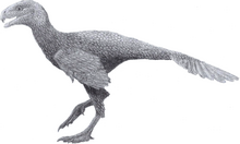 Life restoration of Incisivosaurus Incisivosaurus (pencil 2013).png