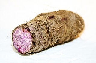 <i>Dioscorea alata</i> Species of yam