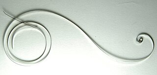 <span class="mw-page-title-main">Mainspring</span> Spiral torsion spring of metal ribbon used as a power source in mechanical watches and clocks