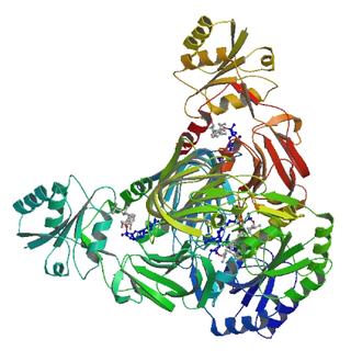 NAD<sup>+</sup> kinase Enzyme