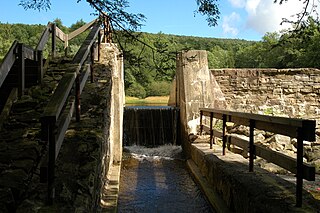 <span class="mw-page-title-main">Penn-Roosevelt State Park</span> Park in Centre County, Pennsylvania