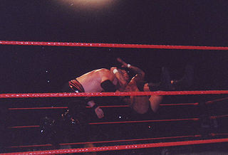 <span class="mw-page-title-main">Cutter (professional wrestling)</span> Wrestling move