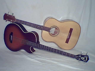 <span class="mw-page-title-main">Acoustic bass guitar</span> Type of acoustic instrument