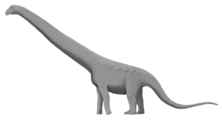 <i>Aeolosaurus</i> Extinct genus of dinosaurs