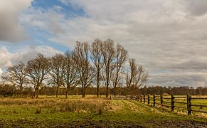 Afrastering om natuurgebied. Locatie, natuurgebied Delleboersterheide – Catspoele 06