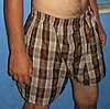 BoxerShorts-20070901.jpg