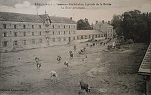 Photographie en noir et blanc d'une troupeau de vaches dans une grande cour de ferme.