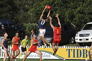 <span class="mw-page-title-main">Glossary of Australian rules football</span>