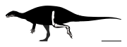 Oblitosaurus skeletal