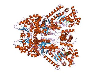 <span class="mw-page-title-main">Anthrax toxin</span> Tripartite protein complex secreted by virulent strains of Bacillus anthracis