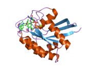 2evw: Crystal structure analysis of a fluorescent form of H-Ras p21 in complex with R-caged GTP