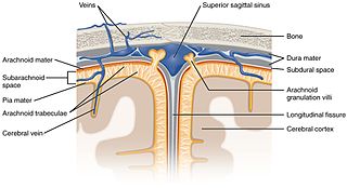 <span class="mw-page-title-main">Intrathecal administration</span> Drug injected into the spinal canal