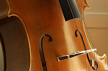 Violoncello