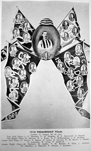 <span class="mw-page-title-main">1910 VFL season</span> 14th season of the Victorian Football League (VFL)