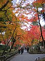 紅葉の参道