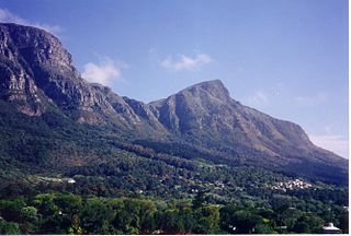 <span class="mw-page-title-main">Newlands, Cape Town</span> Place in Western Cape, South Africa