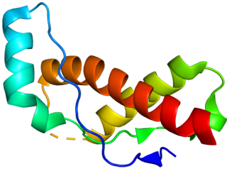 <span class="mw-page-title-main">Major prion protein</span> Protein involved in multiple prion diseases