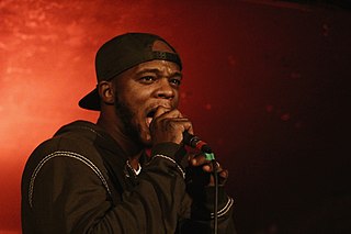 <span class="mw-page-title-main">Papoose discography</span> American rapper discography