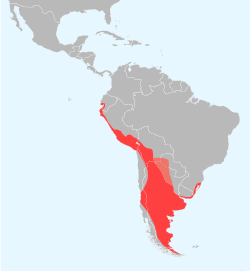 Distribución de Phoenicopterus chilensis      Área de cría     Área de no reproductivo