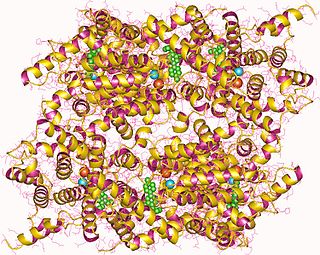 <span class="mw-page-title-main">Cyclic nucleotide phosphodiesterase</span> Class of enzymes