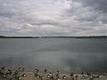 Abberton Reservoir