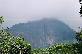 <span class="mw-page-title-main">Pothigai</span> Hills in South India