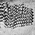 Zeramika kardialaren apanketa (COROMINAS, Josep (1925): Prehistoria de Montserrat, Bartzelona