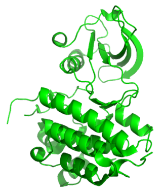 <span class="mw-page-title-main">Ephrin receptor</span> Protein family