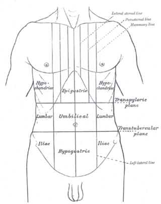 <span class="mw-page-title-main">Abdominal pain</span> Stomach aches