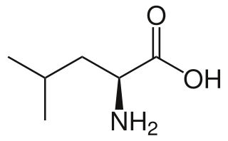 <span class="mw-page-title-main">Leucine</span> Chemical compound