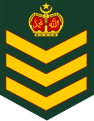 Malaysia-army-OR-7.svg