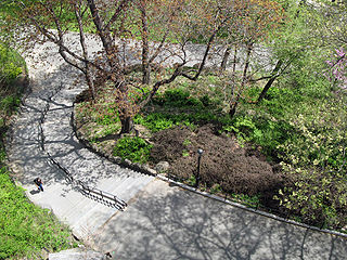 <span class="mw-page-title-main">Morningside Park (Manhattan)</span> Public park in Manhattan, New York