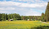 Rural landscape in Muurame