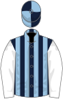 Dark blue and light blue stripes, white sleeves, dark blue and light blue quartered cap