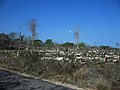 Petac, Yucatán.