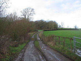 <span class="mw-page-title-main">Postlebury Wood</span>