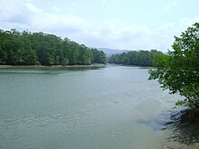 Rio Chucunaque.jpg