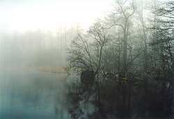 57. Platz: Porsolea Neu! mit Impressionen aus dem Naturschutzgebiet „Sacrower See und Königswald“