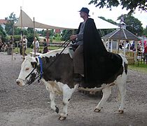 Le Taurin (ici un bœuf).