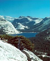 Vicinity of Tenaya Lake