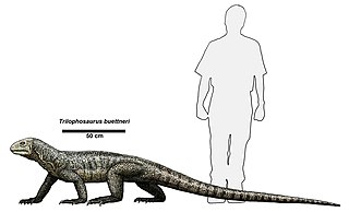 <span class="mw-page-title-main">Trilophosauridae</span> Extinct family of reptiles