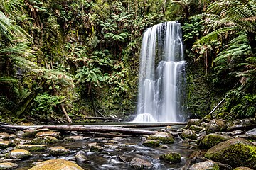 Great Otway National Park, Victoria, Australia