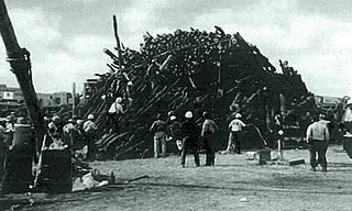 <span class="mw-page-title-main">1999 Aggie Bonfire collapse</span> Fatal accident at Texas A&M University