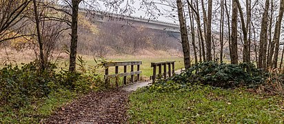 Bruggetje in fietspad naar Langweerderwielen (Langwarder Wielen) 02