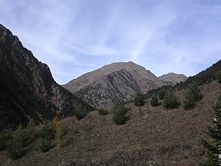 <span class="mw-page-title-main">Coma Pedrosa</span> Highest point in Andorra