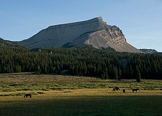 <span class="mw-page-title-main">Darwin Peak</span> Mountain in Wyoming, United States