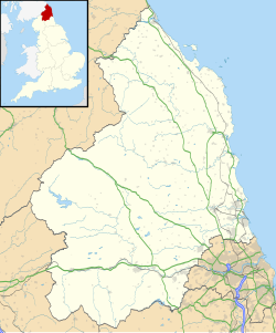 Bailiffgate Museum is located in Northumberland