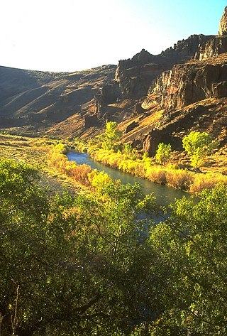 <span class="mw-page-title-main">Owyhee River</span> River in Nevada, Idaho, and Oregon, United States