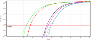 <span class="mw-page-title-main">Real-time polymerase chain reaction</span> Laboratory technique of molecular biology