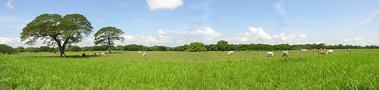 Clima tropical seco Pampa de Guanacaste